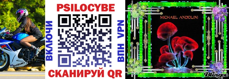 Купить  Озёры  Галлюциногенные грибы GOLDEN TEACHER 